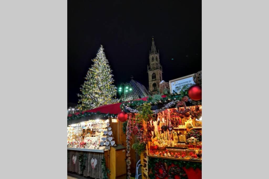App Schlossblick - Wohnung Hammerwand 2 Umes Екстериор снимка